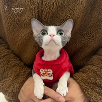 Новый год бархат