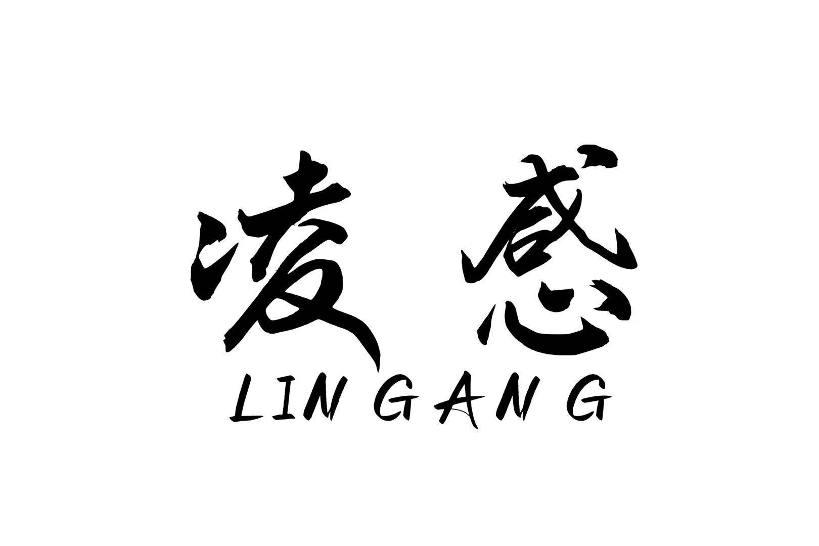 凌感服装设计