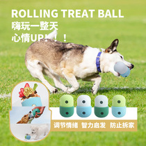 Dog leaking food ball American West Paw set Ledo flat replacement slow food bowl silicone chew toy 2024 Amazon new