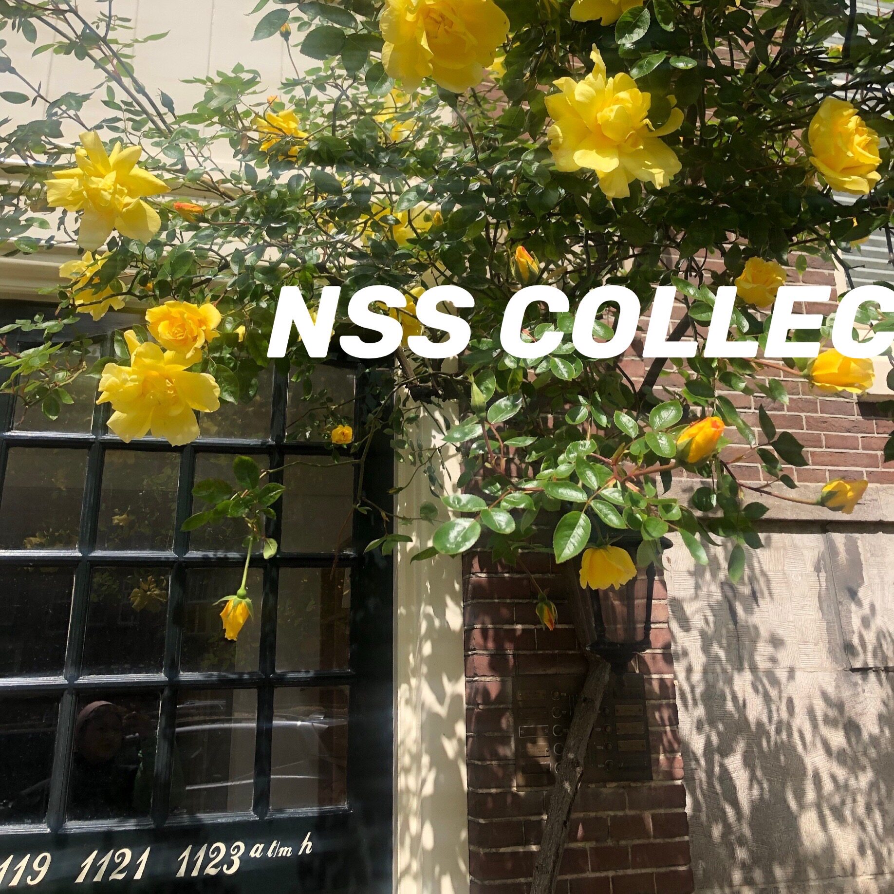 NSS COLLECTION PRICE DIFFERENCE Exclusive Mess for Speculative Taking the Unshipped Self Weight of Coincidentally 