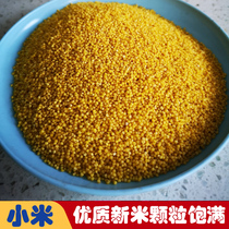 Small Yellow Rice Porridge Miscellaneous Grain 2022 Yuzu MiQinzhou Huanghuang Xiaomi Shanxi Special Farm millet 5 catties