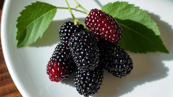 ɣ�ػ����32Сʱ���������60%����?�����Ǽ٣�