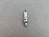 New Continent Honda EFI Freedom 50th Century Dream World Beauty Spark Plug (NGK) CR7HSA