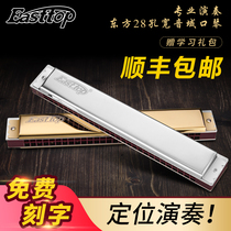 Germany imported spring 28 holes accented C-tone harmonica Advanced adult professional performance grade polyphonic beginner students