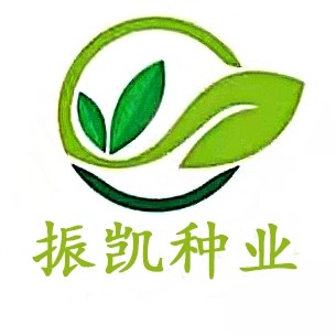 寿光 振凯种业