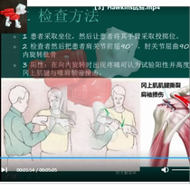 2019 Zhengda Anatomy Course-Examination and anatomical analysis of pain in major joints Video Collection