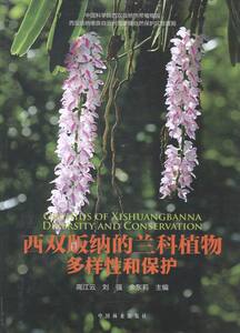 正版包邮 西双版纳的兰科植物：多样性和保护 植物学 书籍9787503872921