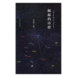 正版包邮 崛起的诗群 古诗词研究 书籍
