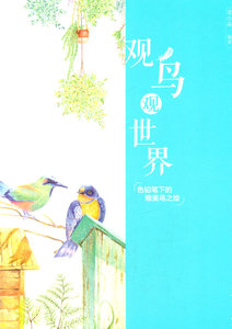 正版包邮 观鸟观世界-色铅笔下的唯美鸟之绘 绘画技法 书籍