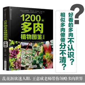 正版包邮 新书 1200种多肉植物图鉴：珍藏版 养肉达人 常见多肉1200种多肉实拍高清图片 园林教授手把手教你养老桩 换盆配土