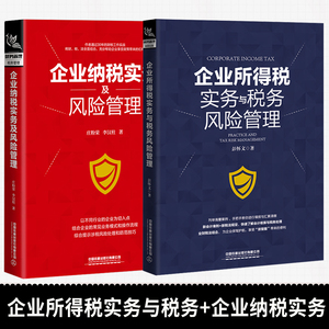 2020新版2册 企业所得税实务与税务风险管理 企业纳税实务及风险管理 企业管理税收筹划投资融资经营决策增值税筹划方案正版书籍