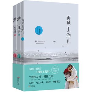正版包邮 沥川往事+再见王沥川 共3册 施定柔都市爱情经典小说陈铭章电视剧原著小说文学书籍现当代现代言情爱情小说wx