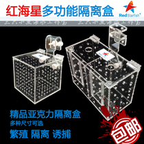 Red Sea Star Multifunction Fish Tank Subacrylic Isolation Box White Dot Coral Isolation Box Large Number Mid Horn Catch Fish