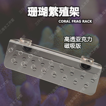 Sea Cylinder Coral Sps Hard Bony Broken Branches Amputee Holder Buttons Cut Frame Soft Strong Magnetic Suction Trays Base Plaid Plate