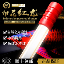 ACC dragon fish lamp special hair color lamp full spectrum fish tank light diving light Golden Dragon Red Dragon special color enhancement baking light