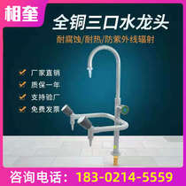 Newspaper Spring Flower Laboratory Taps Triple Tap Triple Tap Test Room Water Nozzle full copper tap High teaching tap