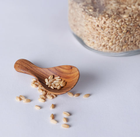 Imported from Thailand chabatree teaspoon sugar spoon Japanese solid wood teaspoon seasoning spoon cute small spoon unpainted