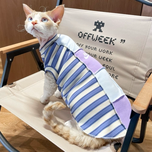 Muamuababy Stateless Cat Olde Sphinx Devin Summer Tin Conditioning Dethable Sports Trend