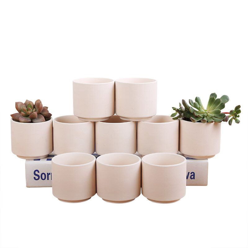 Thumb basin type combination control its fleshy ceramic flower pot mini type control Thumb basin to Sri Lanka