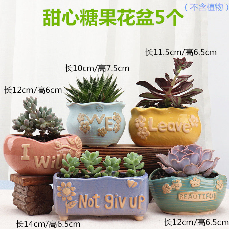 European floret bottle plant furnishing articles floret bottle mesa fleshy flower pot in household decoration small ceramic pot