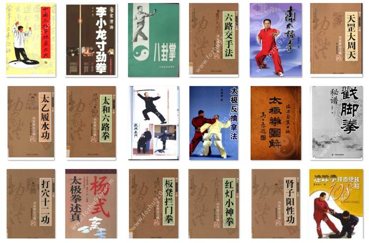 【武术】中华传统武术与现代搏击术_6200册