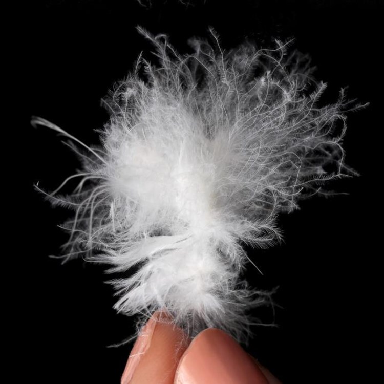 Goose down Bulk, Half a Pound of Large Goose Down, 95% White Goose Down, down Jacket Filling, 90% White Duck Down, down Feathers