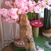 Mint Shido Fairy Kittenss Toys Unkitten Tree Cherry Blossom Cat Climbing swords Grinding Claw Cat Tree Resistant