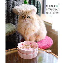 Mint Teenage Girl Heart Fracking ~ Pink Meiji Strawberry Bowl Cat Food Basin Water Basin Cat Bowls Ceramic Pet Bowl