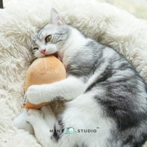 Peppermint Strawberry A big chicken leg Cat card Catnip funny cat toy Molar teeth gnaw pillow toy