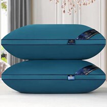 Five-star hotel pillow single male pillow core pair of Pat 2 double home cervical spine sleep help low pillow core