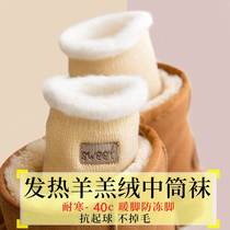 Minus 40 degrees Northeastern wool socks self-heating womens winter plus velvet super thick lamb velvet snow socks mid-tube terry socks