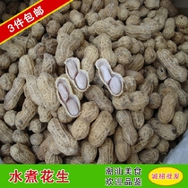 3 pieces of Chaoshan specialty Shantou Raoping peanut salty dried peanut farmer self-grown boiled without adding