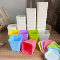 Transparent small black thick star anise flowerpot small white pot fleshy plant seedling pot skewer leaf insertion pot plastic ten square pot