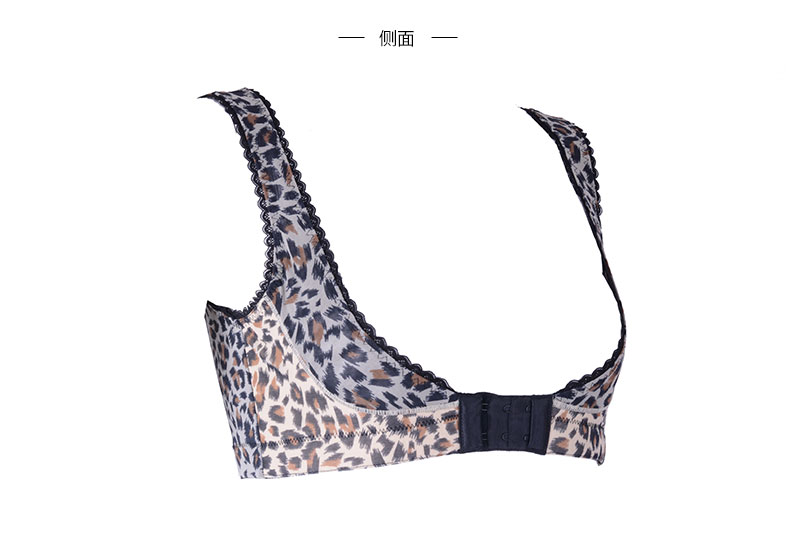Body FY5080 - Ref 666823 Image 13
