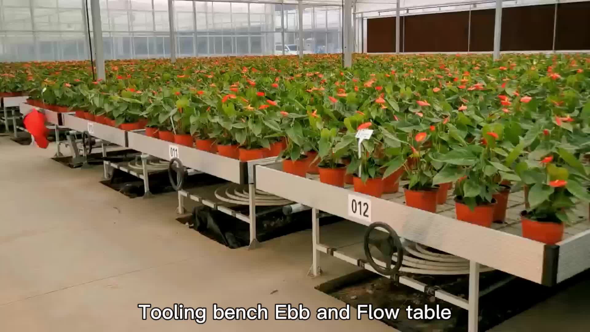 Gt New Premium Growing Tray 4x8 Flood Trays Ebb And Flow System Rolling