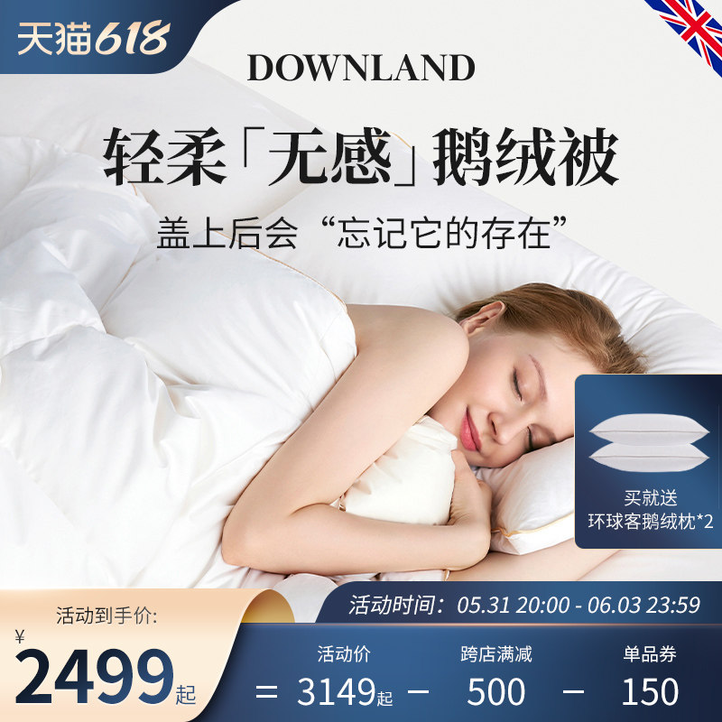 DOWNLAND95 white goose down by thickened warm down quilted by winter Quilt Five Stars Hotel Double Quilt by Core Winter