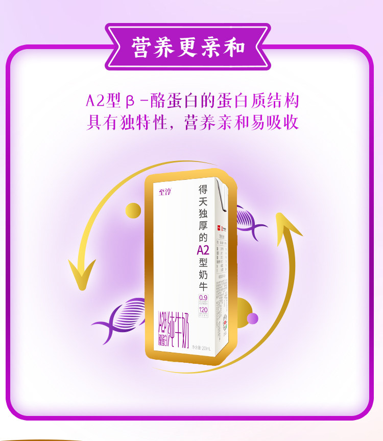 安享好物 安享B级纯奶-卫岗至淳 A2纯牛奶 国标 