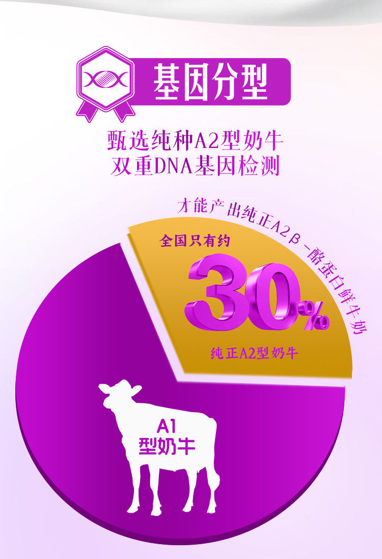 安享好物 安享B级纯奶-卫岗至淳 A2纯牛奶 国标 