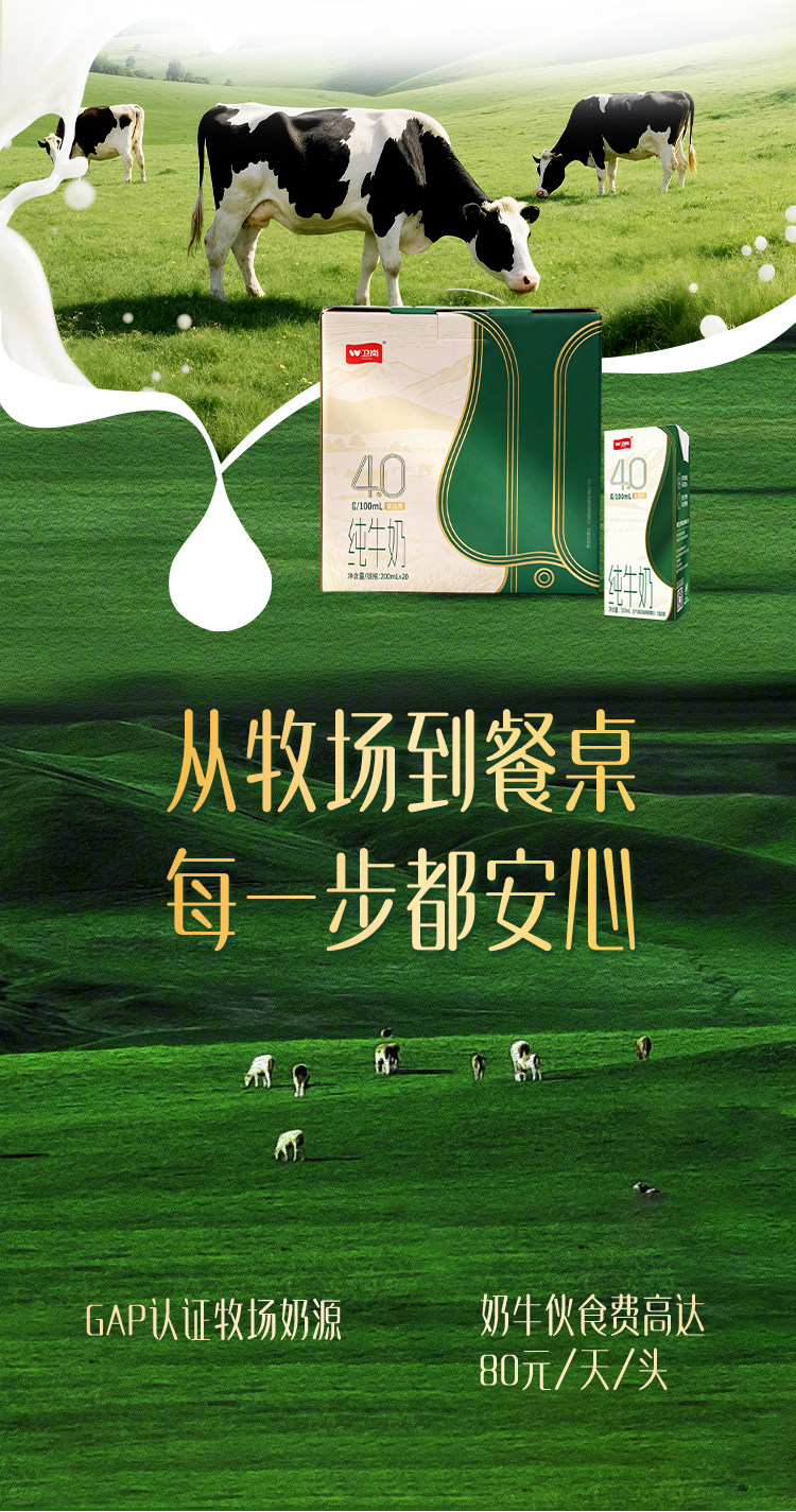 安享好物 安享B级纯奶-卫岗4.0纯牛奶 国标