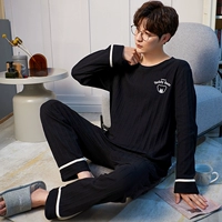 1582 Упрямый медведь