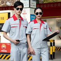 Серый красный воротник