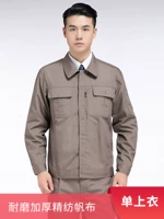 Верблюд серый холст