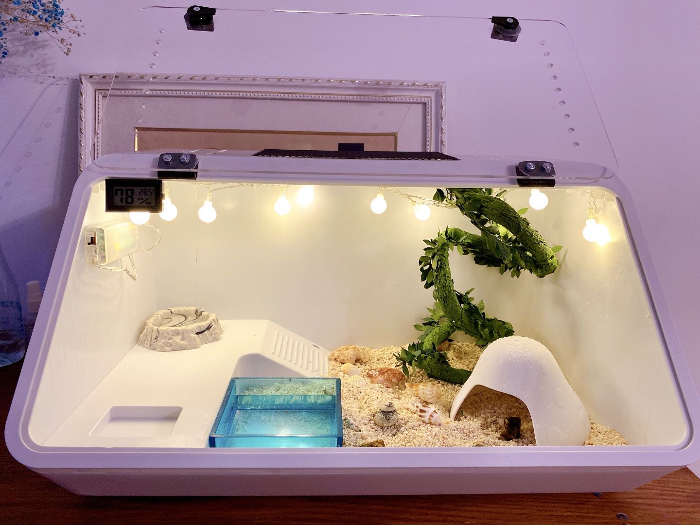 Home Crab Supplies New Hand Provincial Heart Package Themed climbing Favorite Boxes full range of convenient minima coves