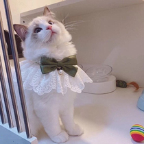 Pets kittens puppies Saliva Scarves Young Cat Puppets Blue White English Short Teddy Kirky Scarves scarves