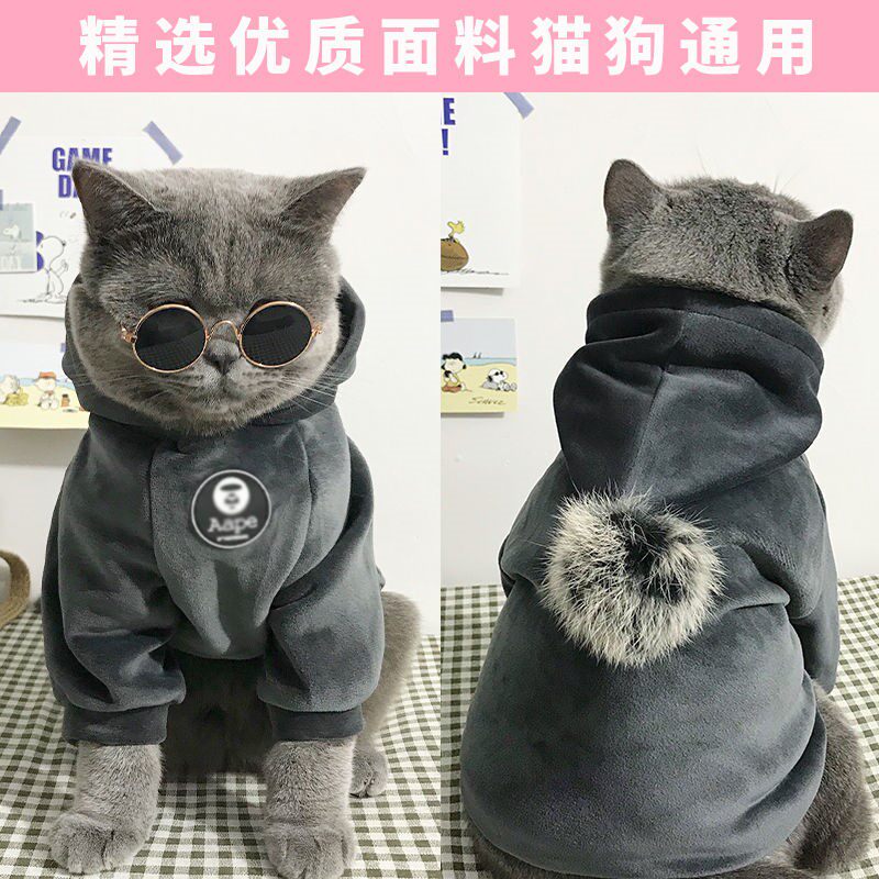 English Short Blue Cat Clothing Public Cat Handsome and Anti-fall Mao Four-foot Winter Pets Small Young Cat Warm Clothes Autumn winter Cool