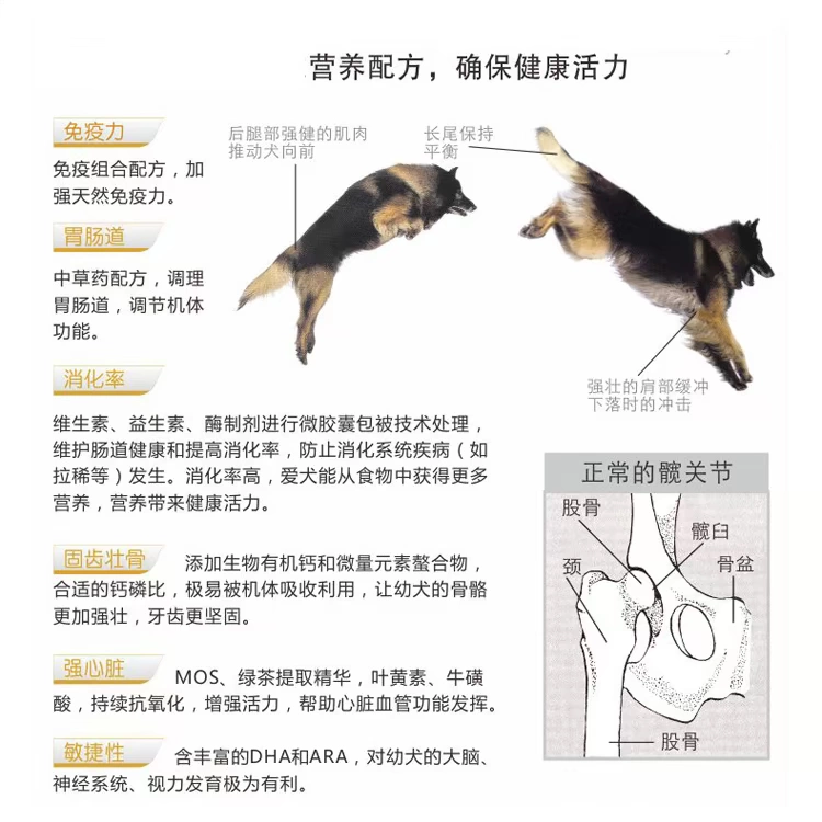 Thức ăn cho chó số lượng lớn 2500g chó trưởng thành Bo Meijin Mao Samo Gấu gấu VIP Thức ăn cho chó VIP thức ăn cho chó trưởng thành - Gói Singular