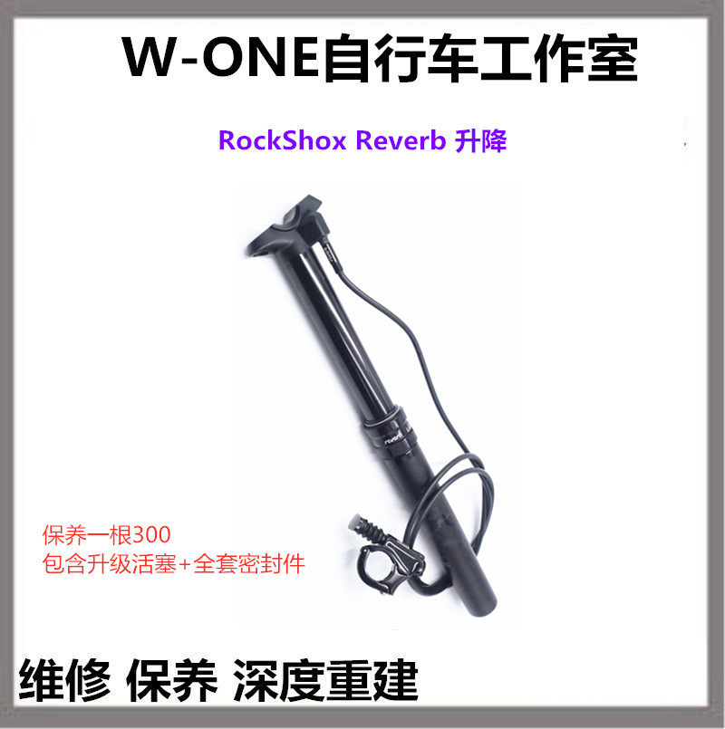 RockShox Reverb lifting seat rod in-depth maintenance and repair string gas leak repair service