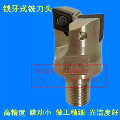 Imported material Swiss SANTKING CNC Drilling and Milling Series Lock Mill Head AJUM-16-M08-2T
