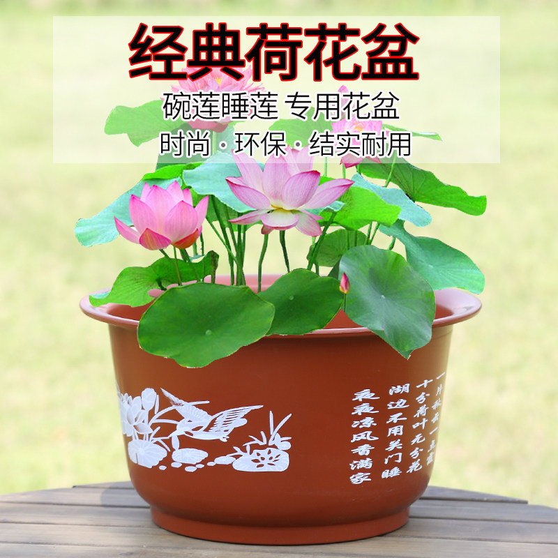 Non-porous lotus pot thickened lotus large flower pot imitation ceramic bowl plus water lotus pot lotus hydroponic green plant plastic flower pot
