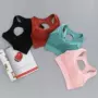 2018 phòng tập thể dục chống sốc chạy bộ đồ lót thể thao vest phong cách nữ thu thập rập khuôn yoga bra bra - Đồ lót thể thao áo lót thể thao loại nào tốt